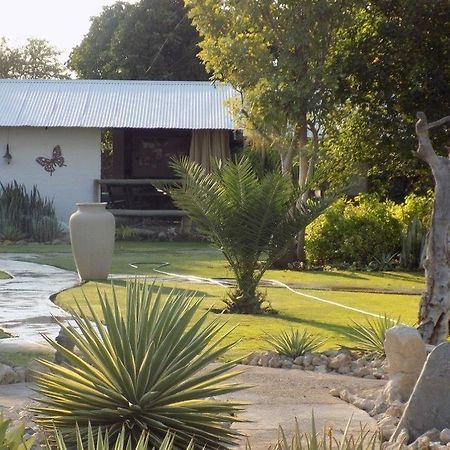 Eldorado Guest House & Camping Okaukuejo Dış mekan fotoğraf