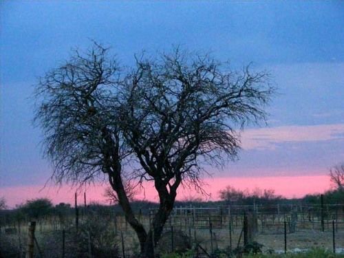 Eldorado Guest House & Camping Okaukuejo Dış mekan fotoğraf